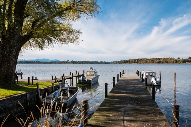 固了自己的 固了自己的