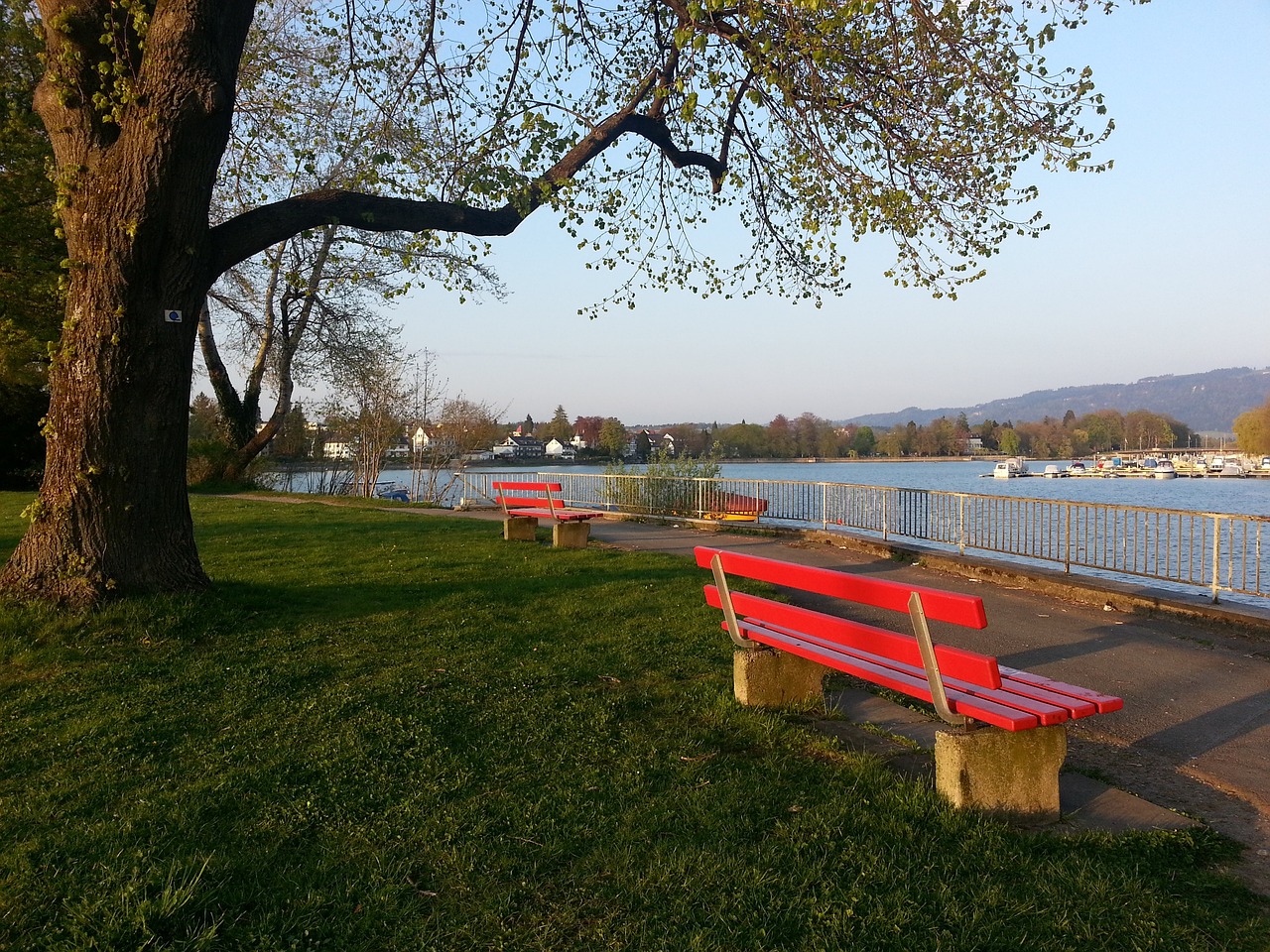 的工作人员 的工作人员