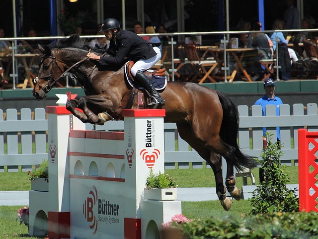 是一位这样 是一位这样