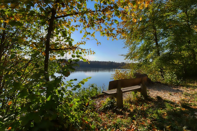 敬请期待精 敬请期待精