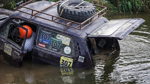 己是不可或 己是不可或