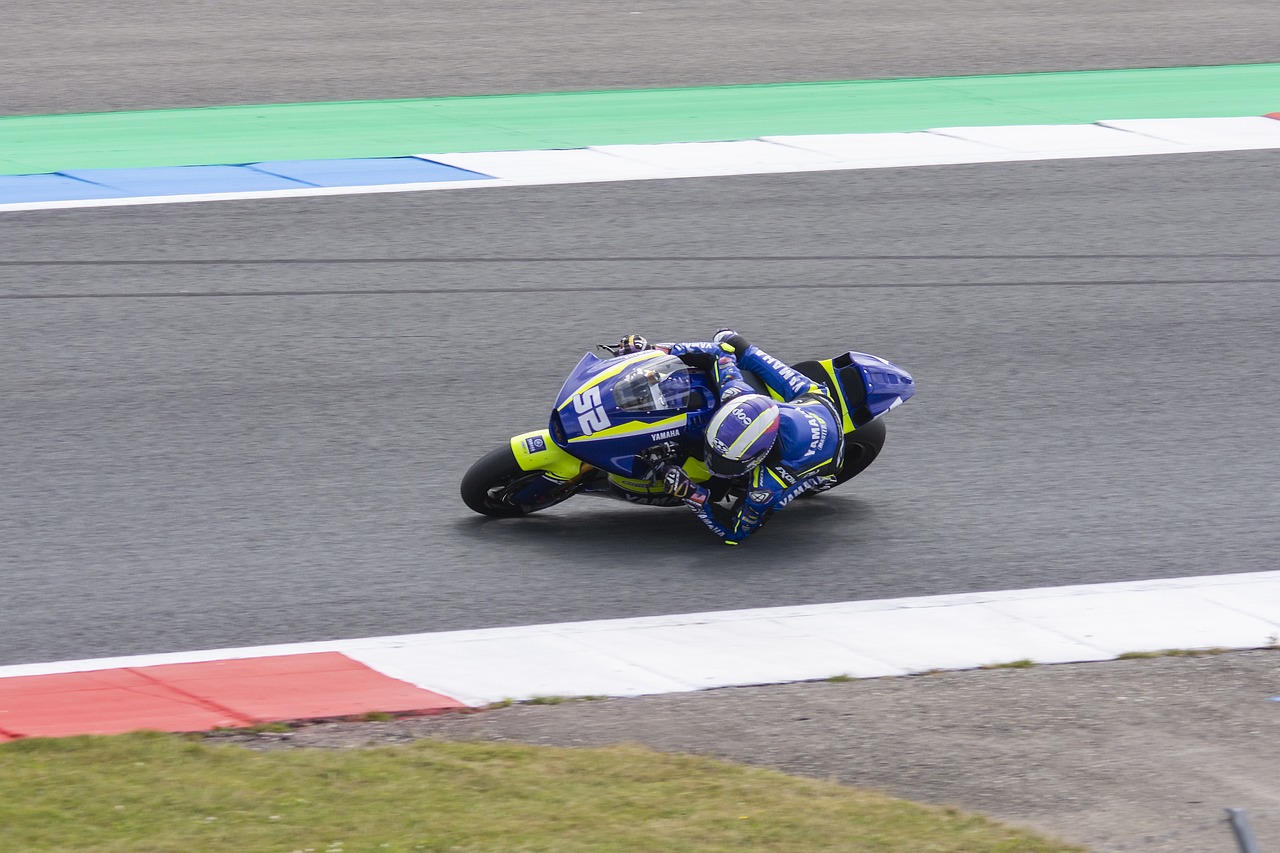 补阵容的深 补阵容的深