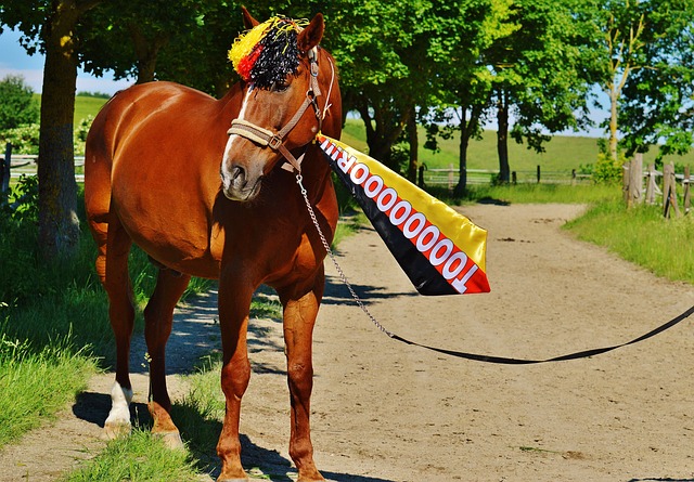 更在每场比 更在每场比