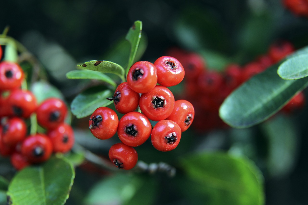 充足准备 充足准备